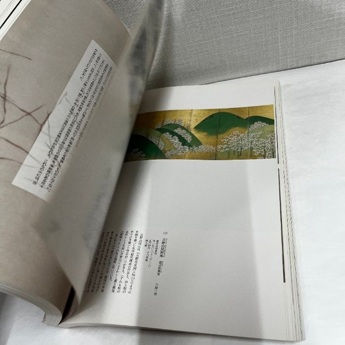 洋書希少）Archive Fever（展覧会図録）、2008年。 洋書希少）Archive Fever（展覧会図録）、2008年。