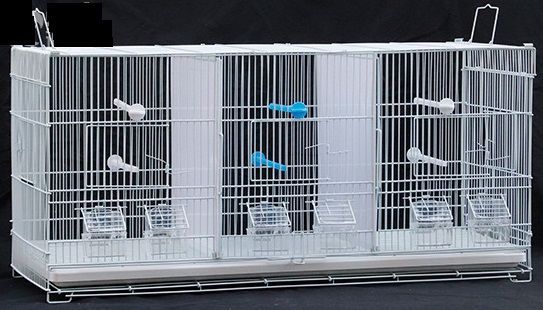 トリプル スクエアタイプ 鳥かご 3部屋 鳥小屋 鳥カゴ 鳥 ゲージ ケージ バードケージ セキセイインコ 白