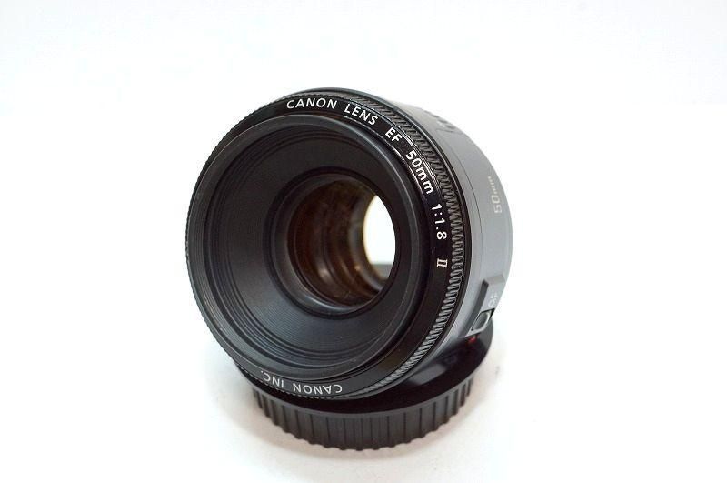 CANON キヤノン EF 50mm F1.8 Ⅱ型 ボケが素晴らしい神レンズ CANON キヤノン EF 50mm F1.8 Ⅱ型 ボケが素晴らしい神レンズ