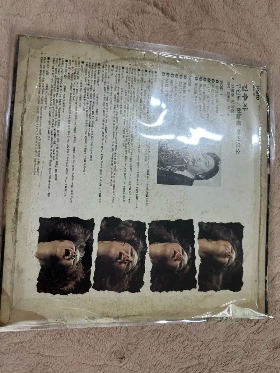 直感的な キムチュジャ 無人 早い 韓国 行こう 覇権 みょうばん LP ファイナルセール開催中！