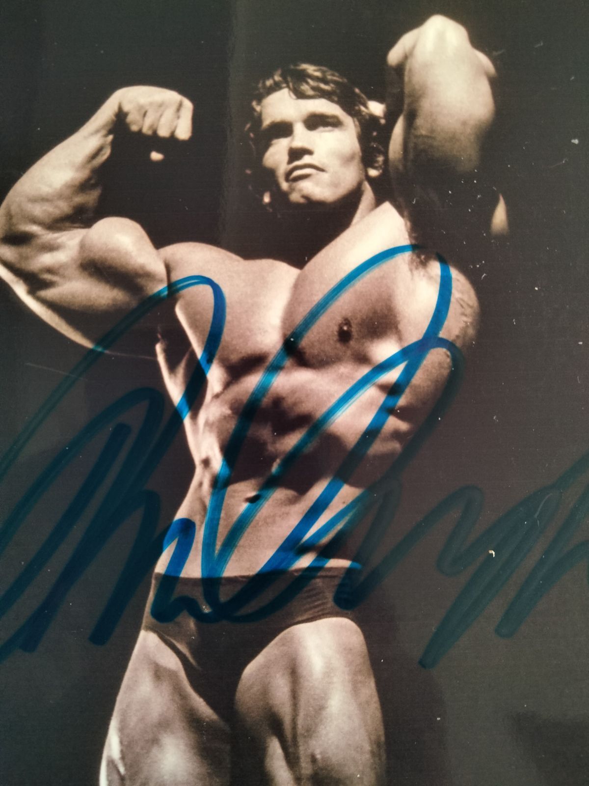 アーノルド・シュワルツェネッガー直筆サイン入り2Lサイズ写真…Arnold Schwarzenegger…アーノルド・シュワルツェネッガーの鋼鉄の男…