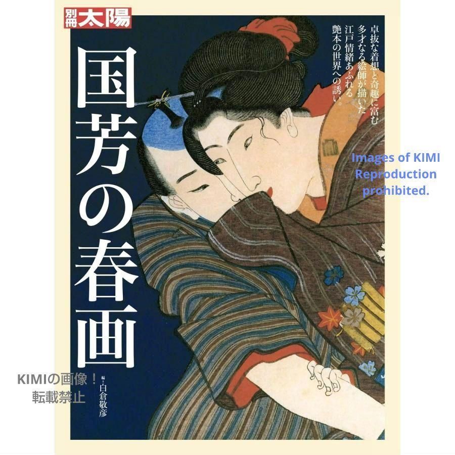 春画 江戸の絵師四十八人 (別冊太陽) - アート