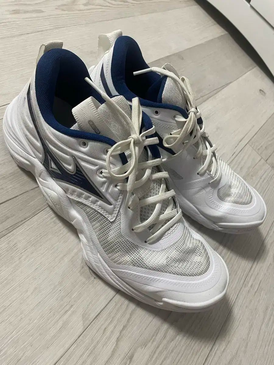 mizuno ミズノ バレーボールシューズ 270