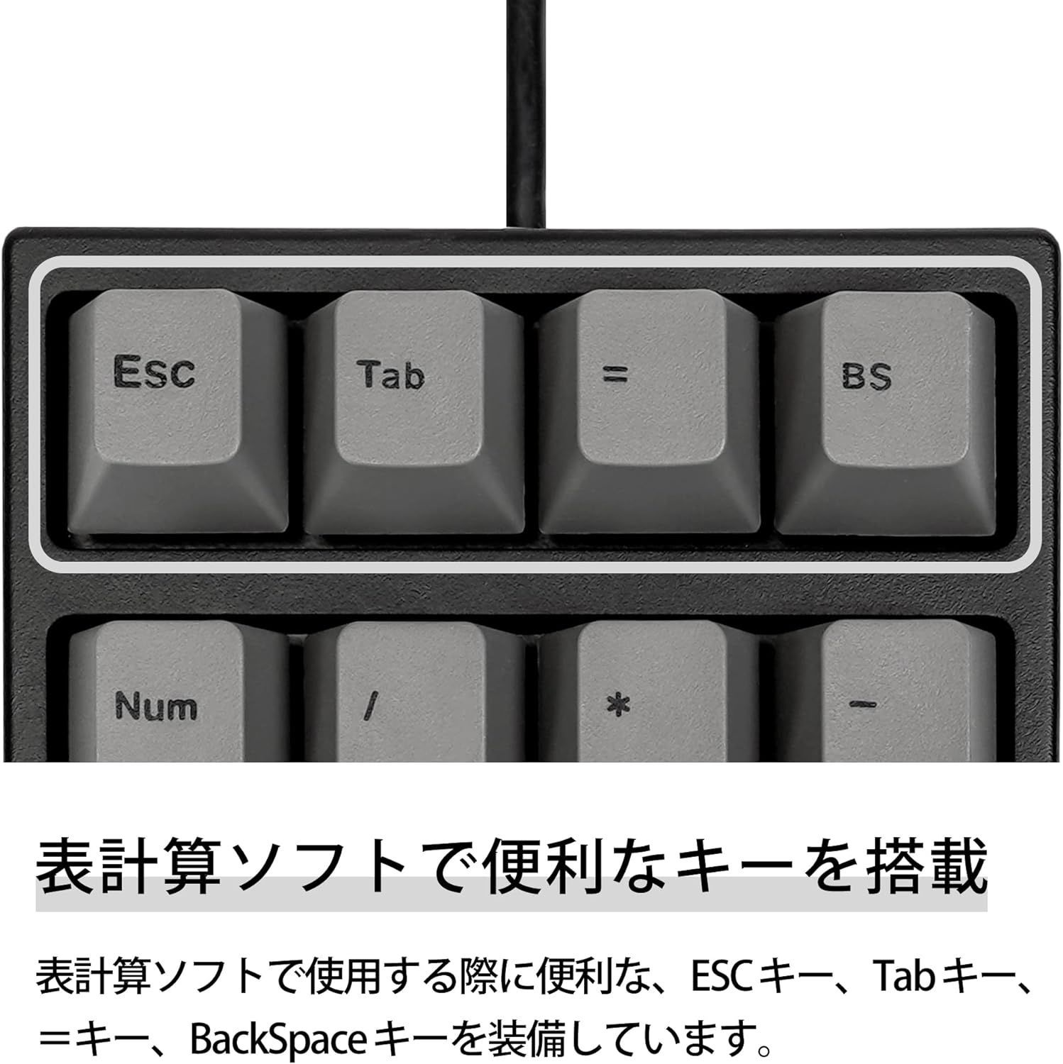 ARCHISS Maestro NPad テンキー 黒ボディ グレーキーキャップ CHERRY