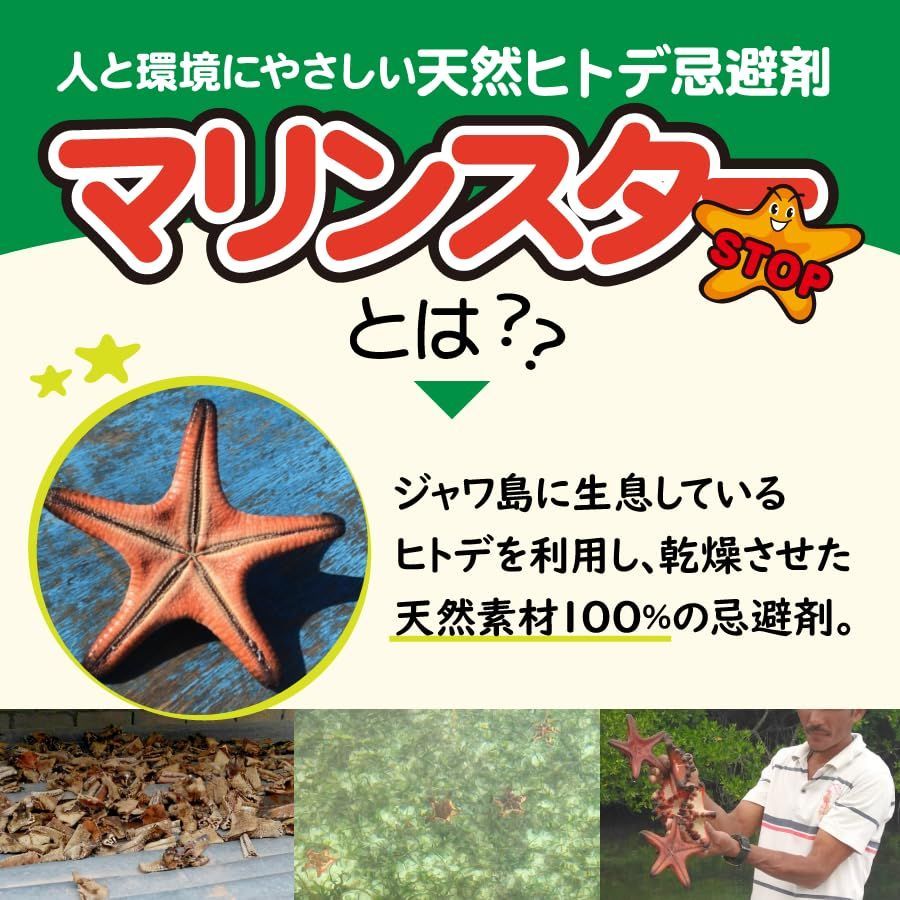 1袋 タヌキ