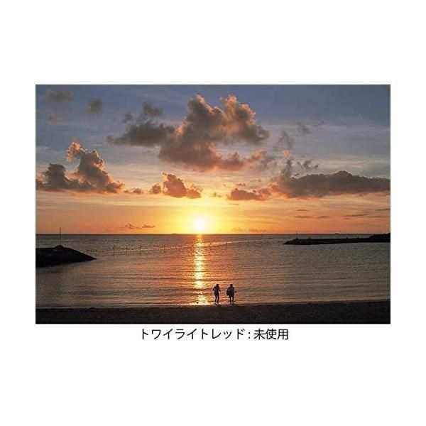  Kenko レンズフィルター MC トワイライトレッド 82 mm 色彩強調用 382844 レッド レンズフィルターアクセサリー レンズフィルター