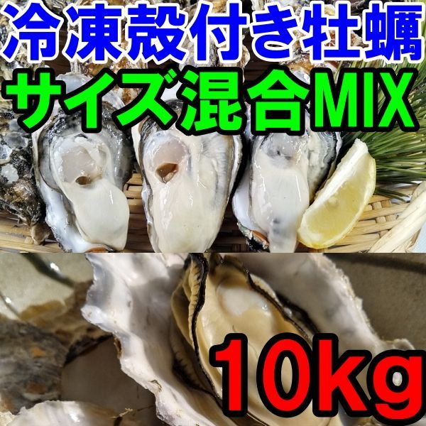 送料無料★牡蠣１０kg サイズＭＩＸ冷凍便殻付き牡蠣 殻付き 殻付 カキ 加熱用 松島牡蠣屋「冷凍MIX  １０kg」カキ 牡蛎 BBQ お花見  お中元 お歳暮 kaki 松島牡蠣屋 かきバーベキュー 貝類