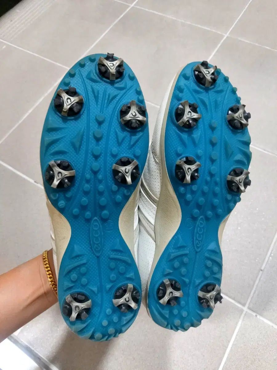 Ecco エコー レディースゴルフシューズ 36 サイズ