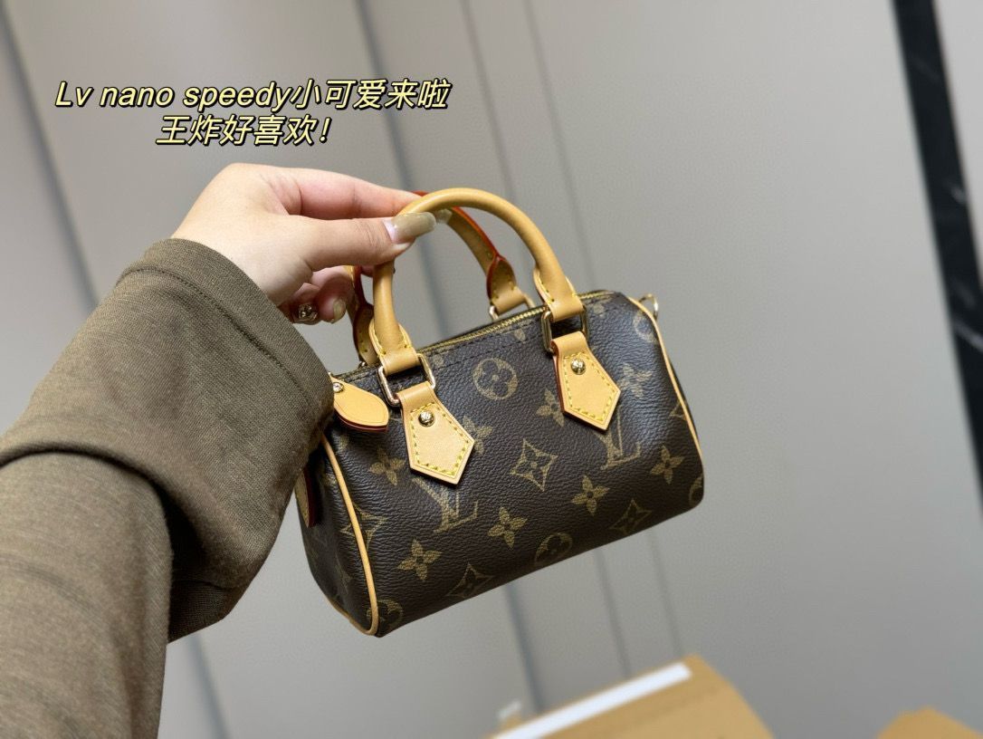 【限定品＊入手困難】LV Nano Speedy バッグ【送料無料】 今日特価】Louis Vuitton Speedy Nano・ルイ・ヴィトン