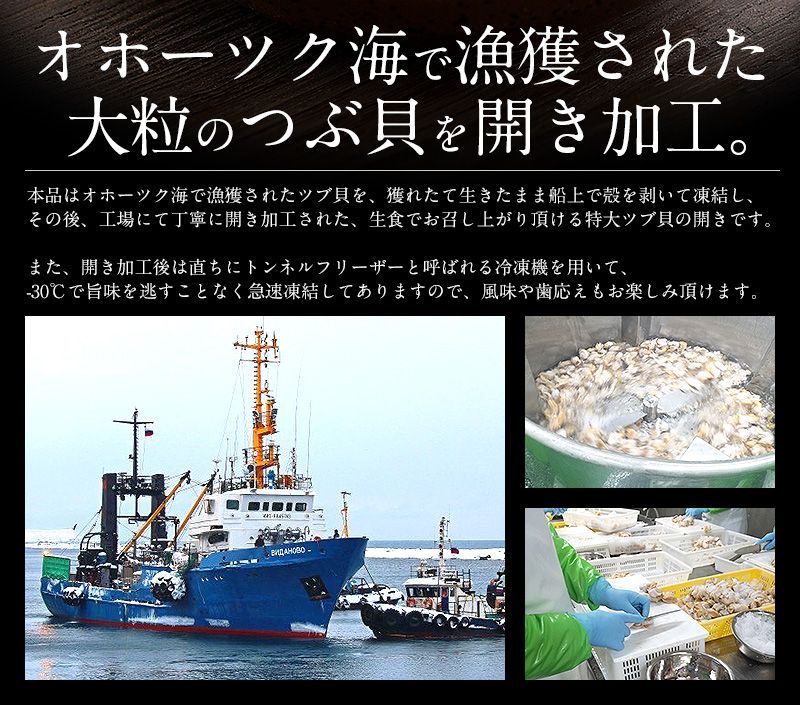 つぶ貝 ツブ貝 粒貝 つぶ貝開き 500g バイ貝 ばい貝 特大サイズ-2