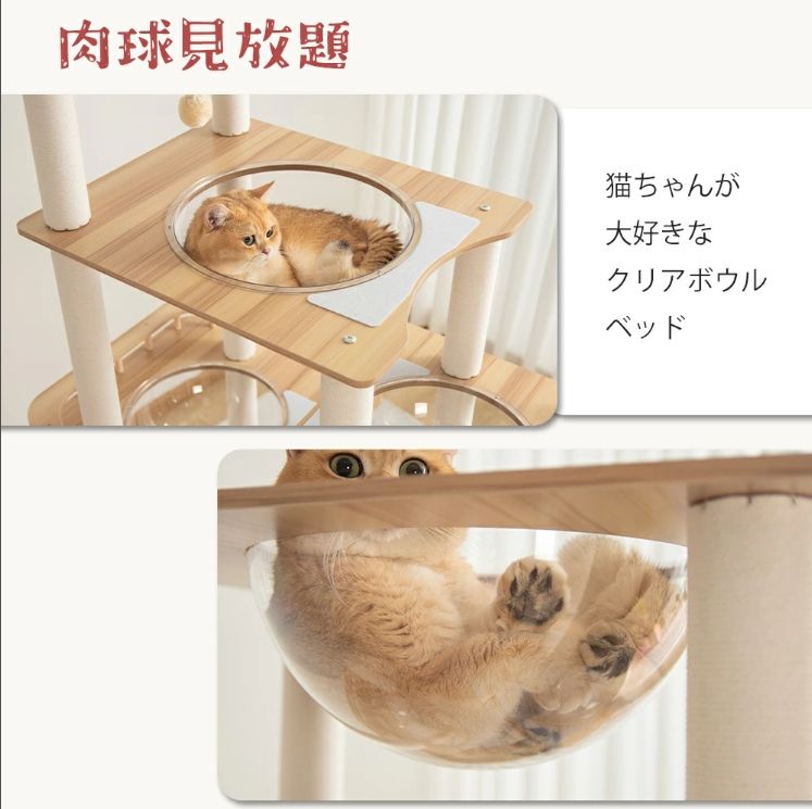 コットン紐 天然麻