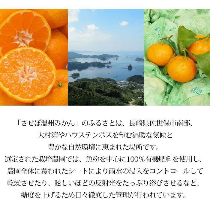 ◉最高級みかん◉🍊平均糖度14度以上「出島の華」ぜひ、商品説明 ◉最高級みかん◉🍊平均糖度14度以上「出島の華」ぜひ、商品説明