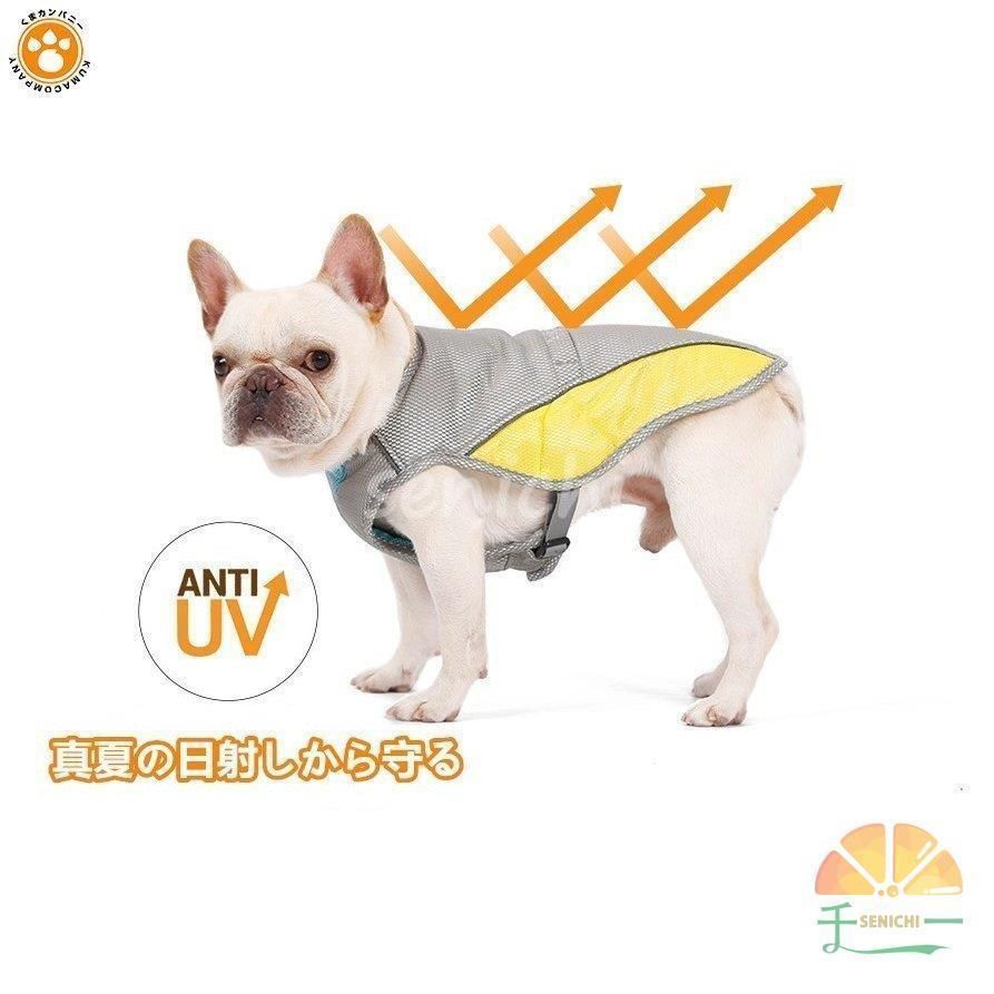 お散歩用