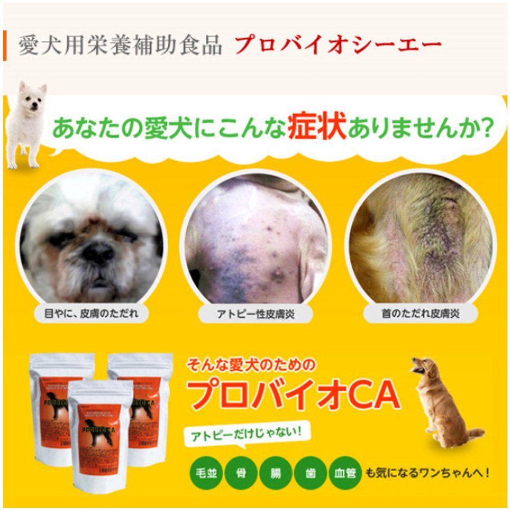 30包入り×2個セット