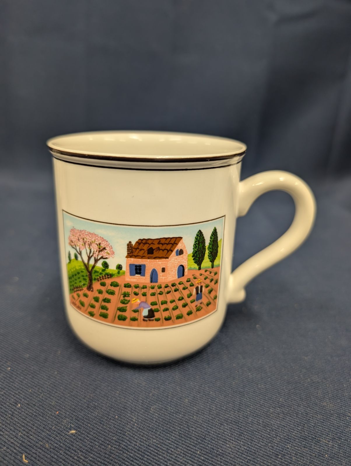 ヴィレロイボッホ デザインナイーフ 5枚セット ビレロイ&ボッホ