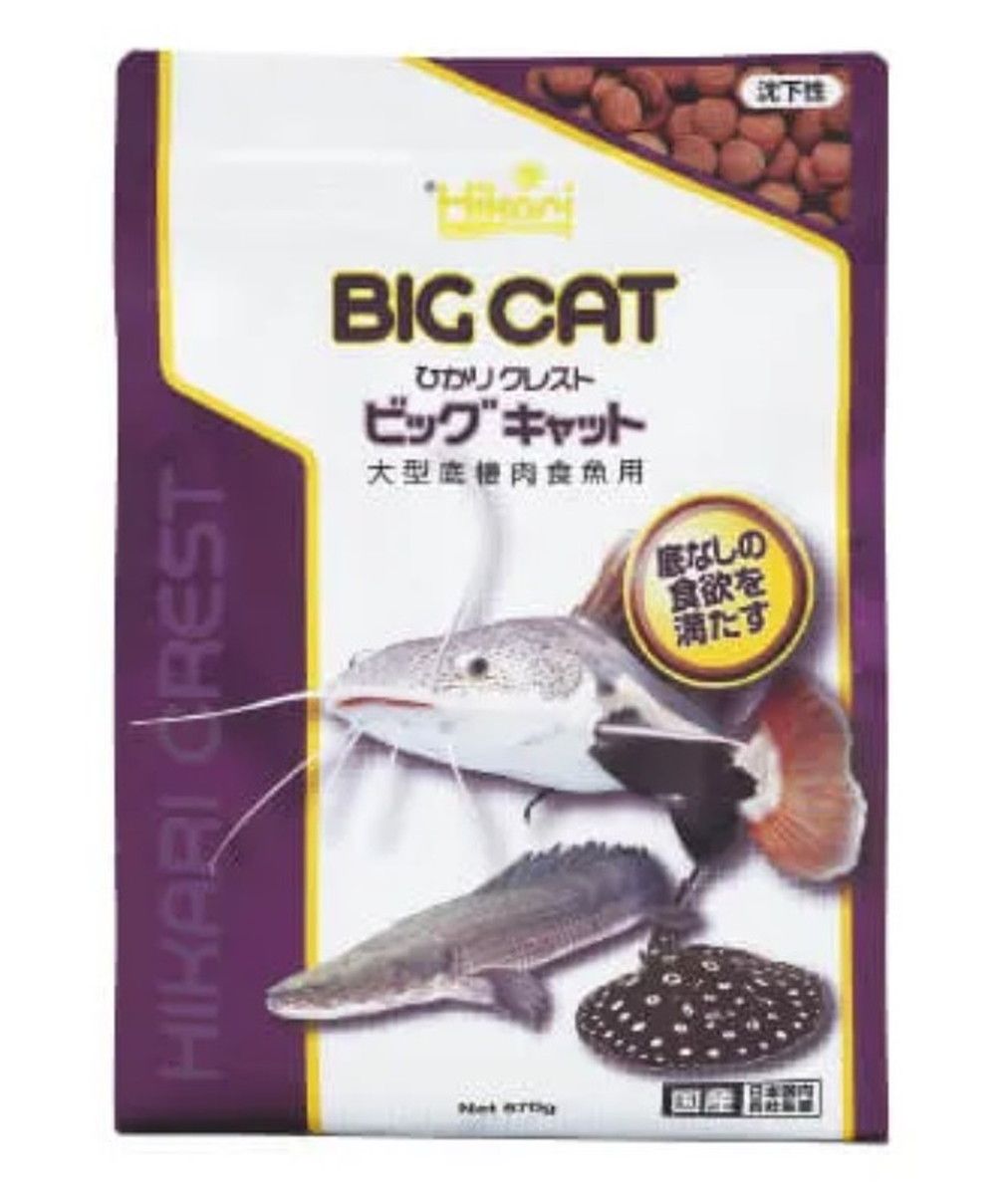 【同梱不可】【6個セット】 キョーリン　ひかりクレスト ビッグキャット 570g