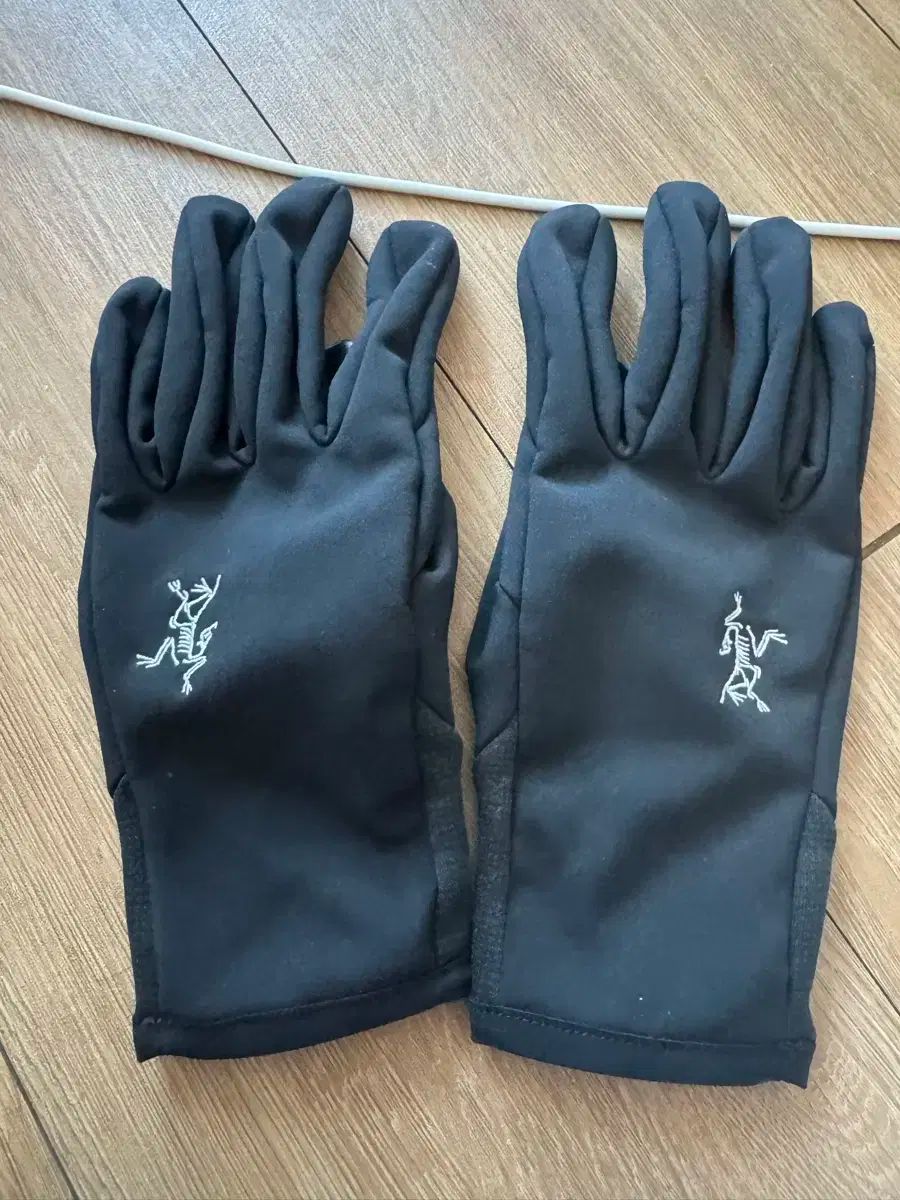 アークテリクス ヴェンタ グローブ S GORE-TEX