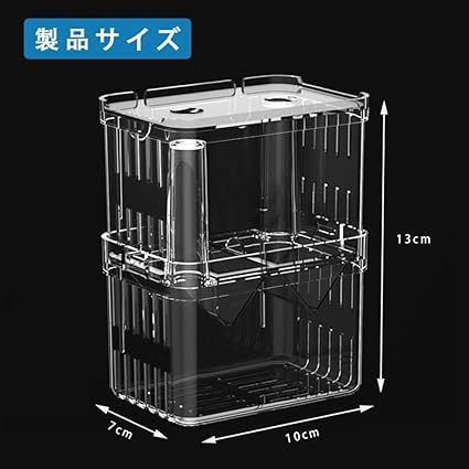 ヒカリゴケ　繁殖管理用ケース ヒカリゴケ 繁殖管理用ケース （ヒカリゴケ 繁殖管理用ケース）