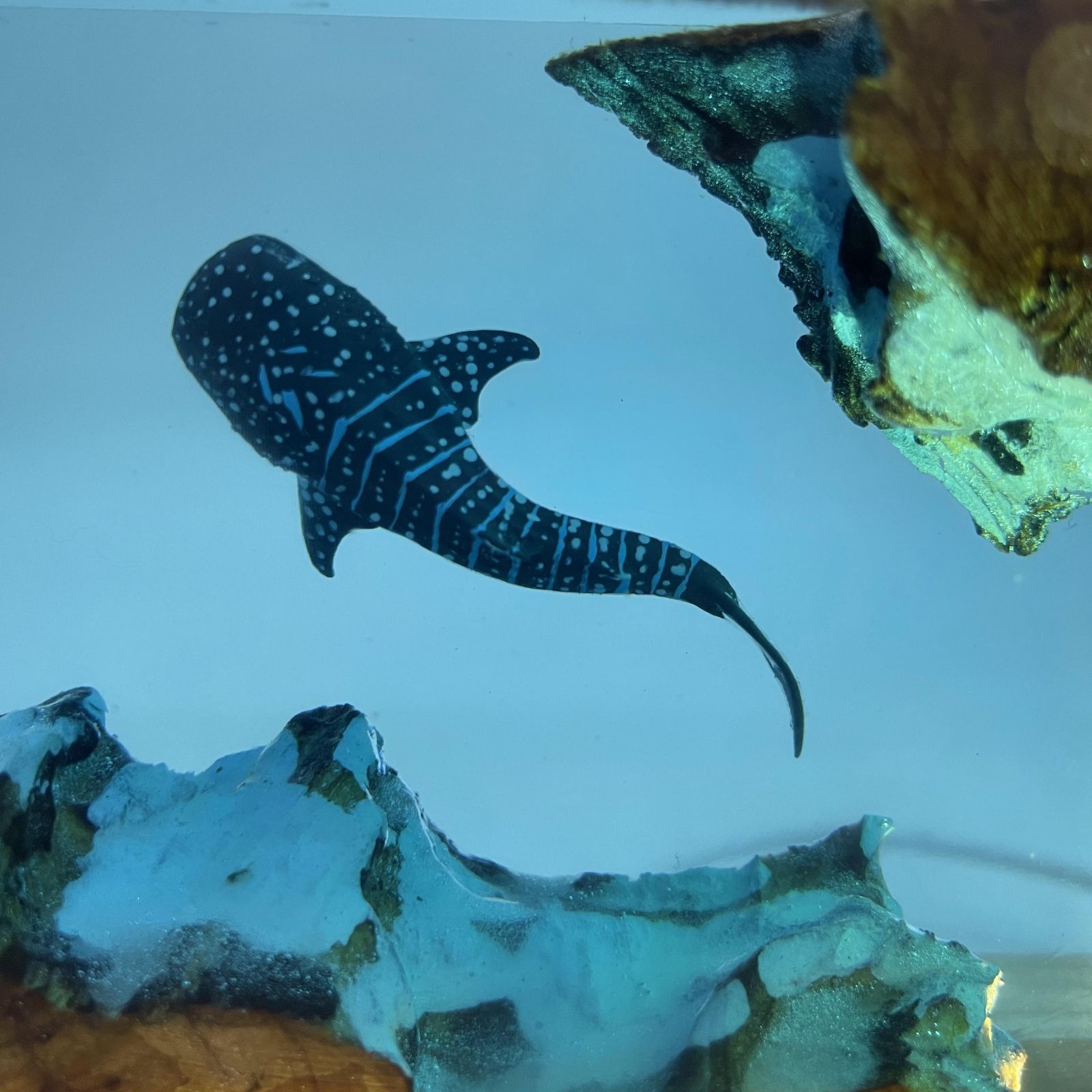 レジンランプ クジラ ナイトランプ 室内 装飾 インテリア リビング 置物 海 レジンランプ クジラ ナイトランプ 室内 装飾 インテリア