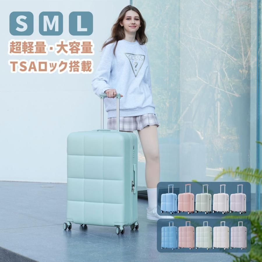 機内持ち込み