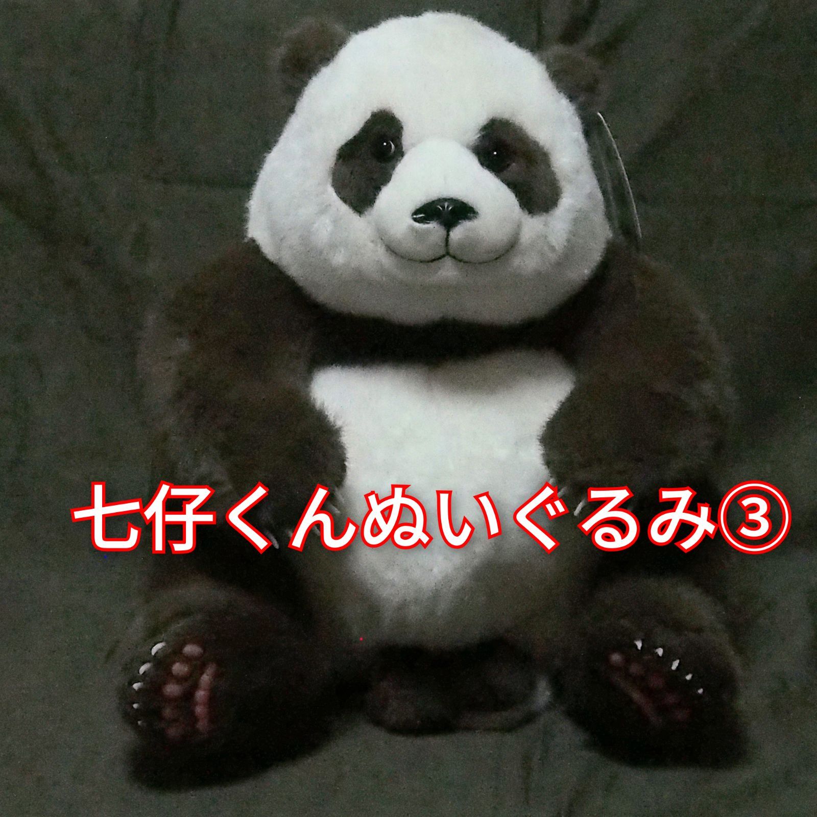 箱付チーザイ(七仔)くんぬいぐるみ パンダ 七仔 チーザイくん 茶色 ぬいぐるみ リアル シリコン ふわふわ