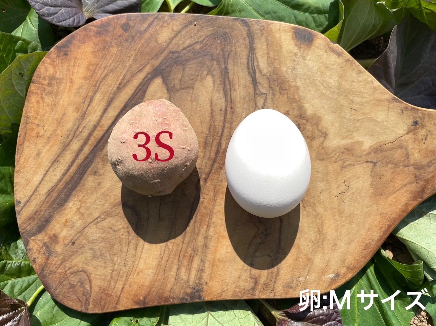 絶品】種子島産 安納芋 3S&M 混合20kg(箱別) - メルカリ