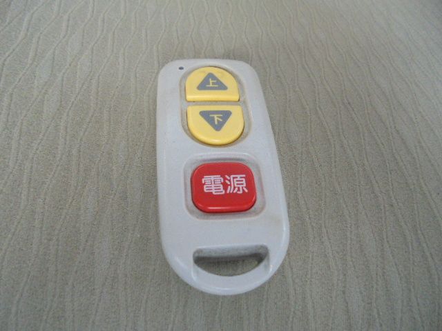 後期型