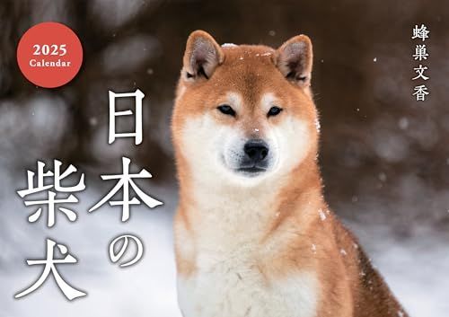 日本の柴犬カレンダー 2025（壁掛け） ([カレンダー])