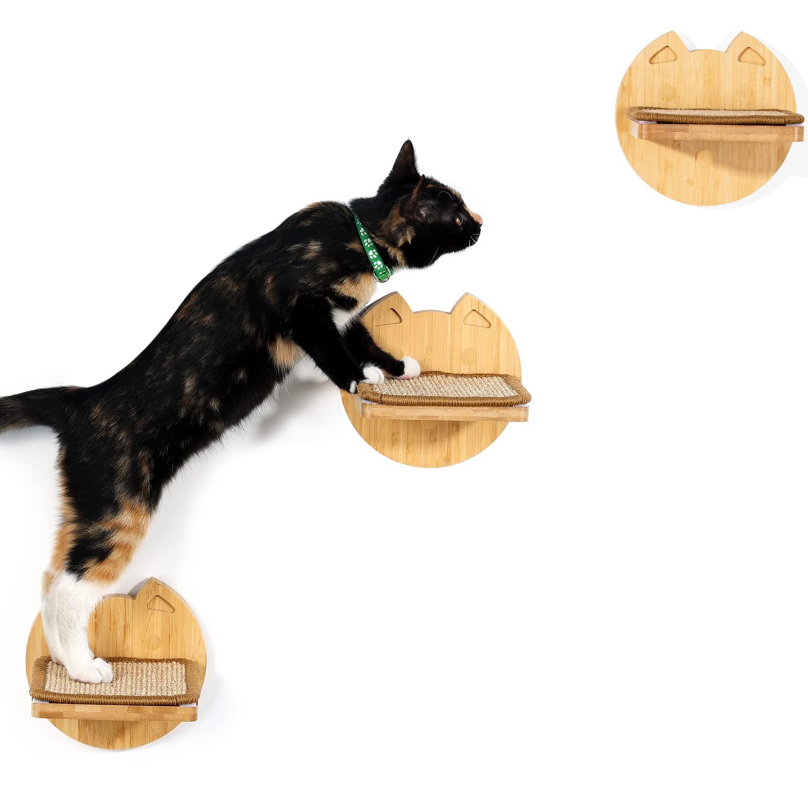 レスポールスペシャル 日本製 CoolZ プチ改造