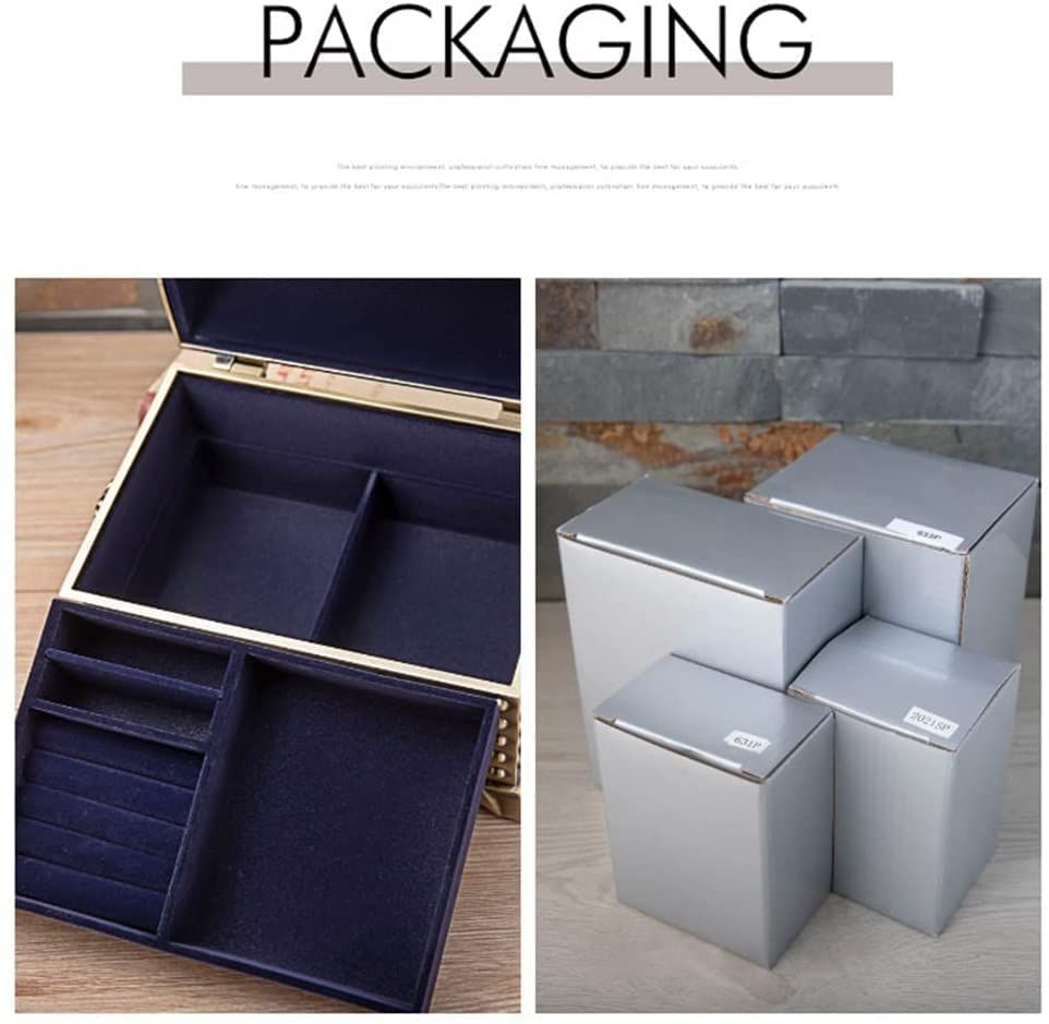 収納ボックス アクセサリーケース