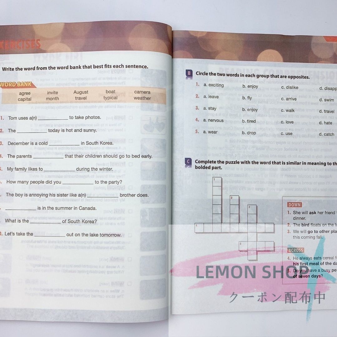 4000 Essential English Words 6冊 英語勉強 英語受験 子供英語