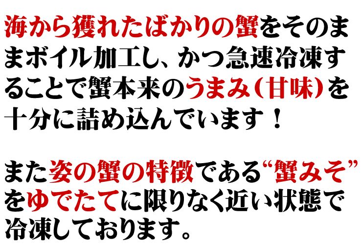 姿ズワイガニ2尾セットずわいがにカニかに蟹お歳暮