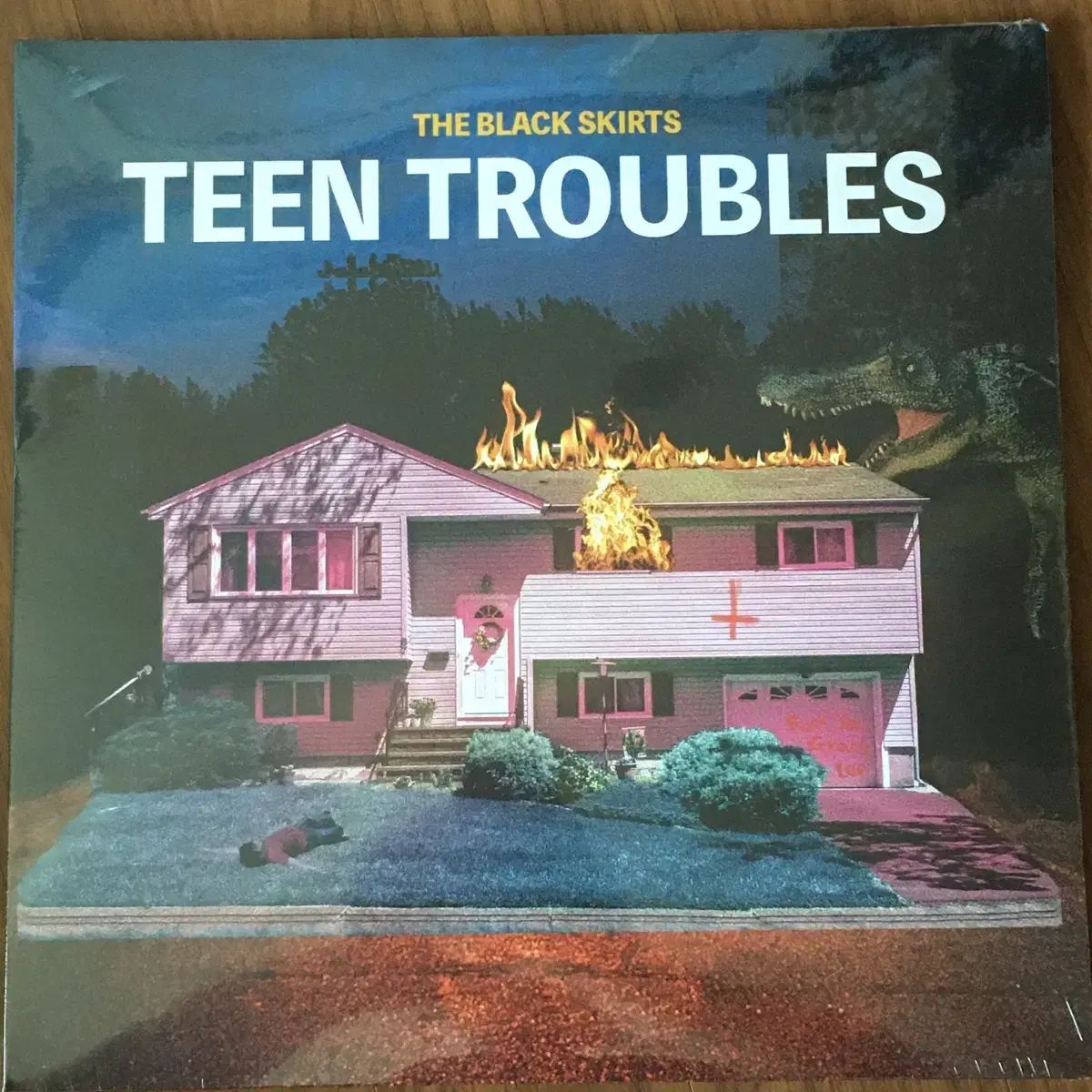 The Black Skirts コムジョンチマ teen troubles lp