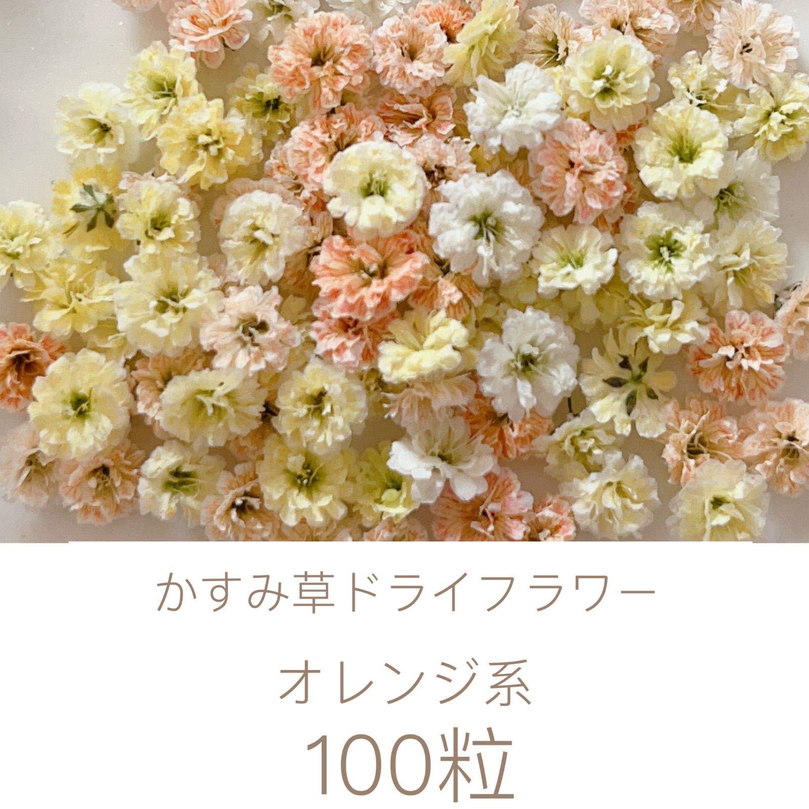 オレンジ系 かすみ草ドライフラワー100粒 - メルカリ