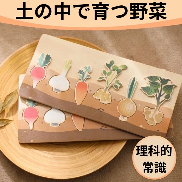 土の中で育つ野菜パズル】小学校受験の理科的常識対策に！ - メルカリ