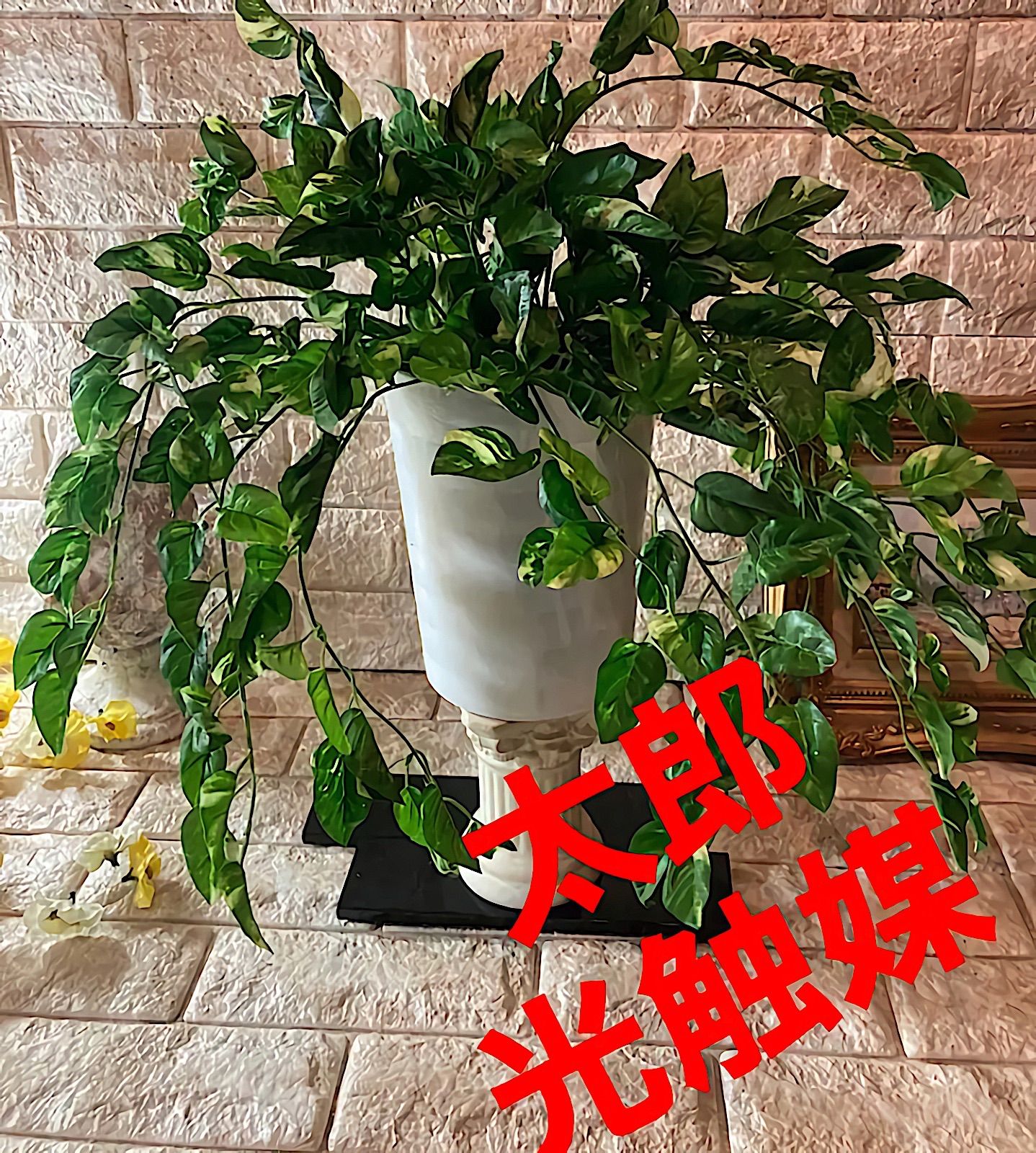 光触媒 人工観葉植物 ウォールグリーン フェイク フラワー ポトスajt