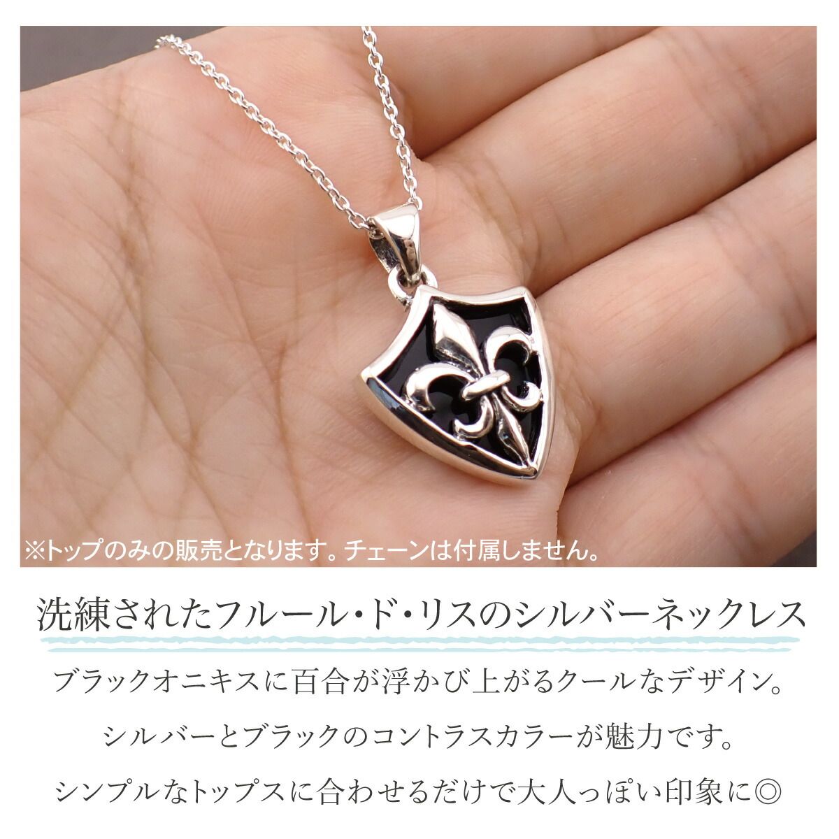 ペンダントトップ ネックレストップのみ メンズ シルバー925 オニキス