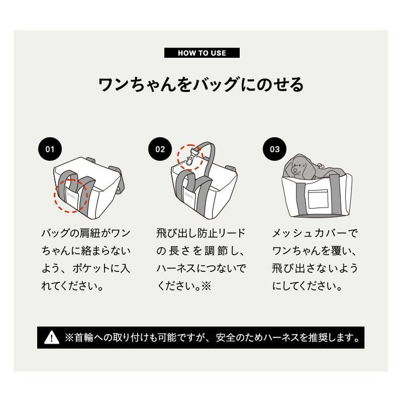ケース