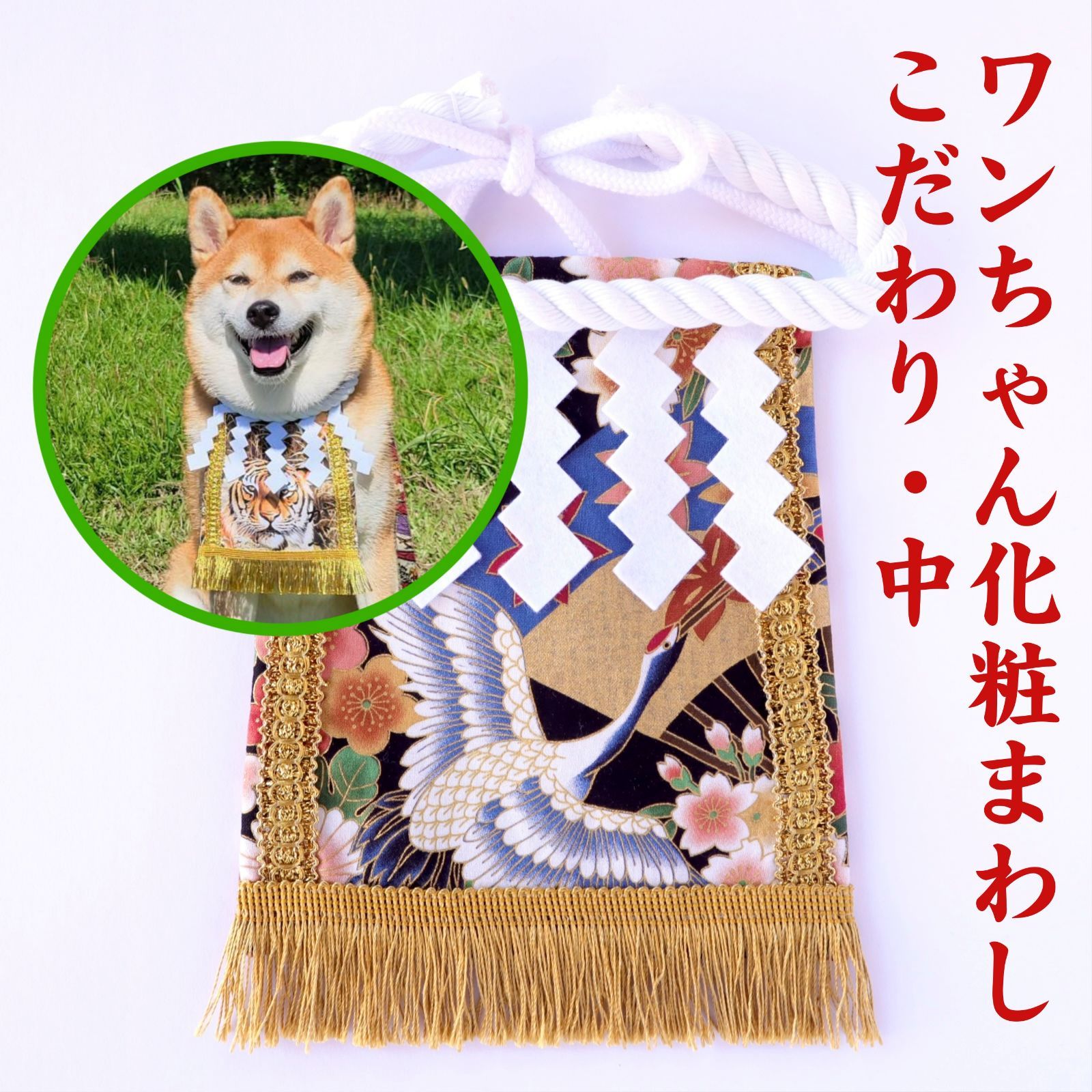 土佐闘犬用の化粧引き綱