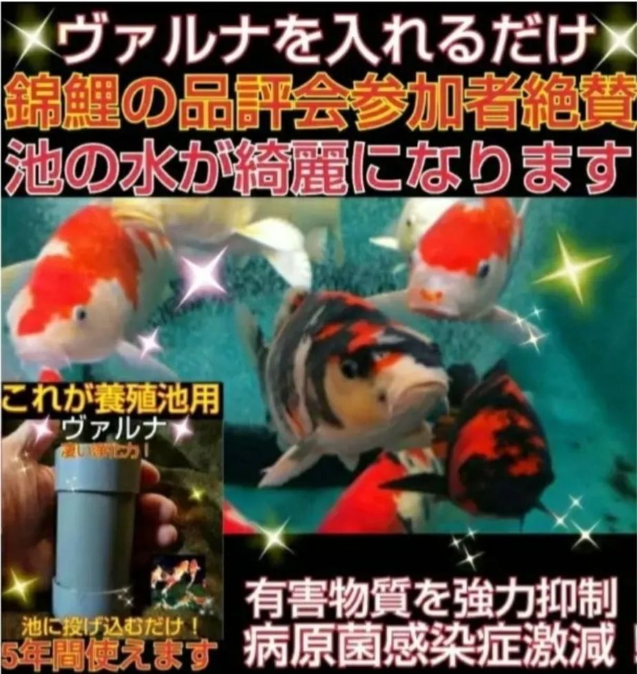 水槽の水が綺麗になります【ヴァルナミニ】有害物質を強力抑制し
