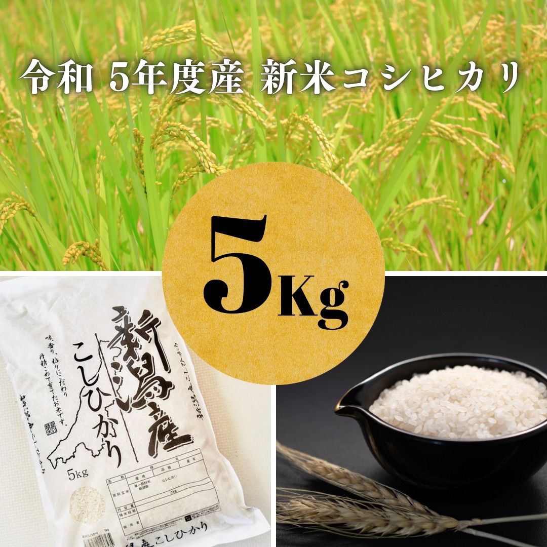 コシヒカリ令和5年産/新米/5キロ - メルカリ