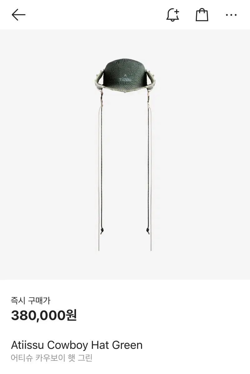 ティッシュ カウボーイ ハット グリーン