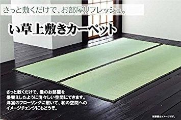 新品・3営業日で発送】イケヒコ 純国産 い草 上敷き カーペット 双目織