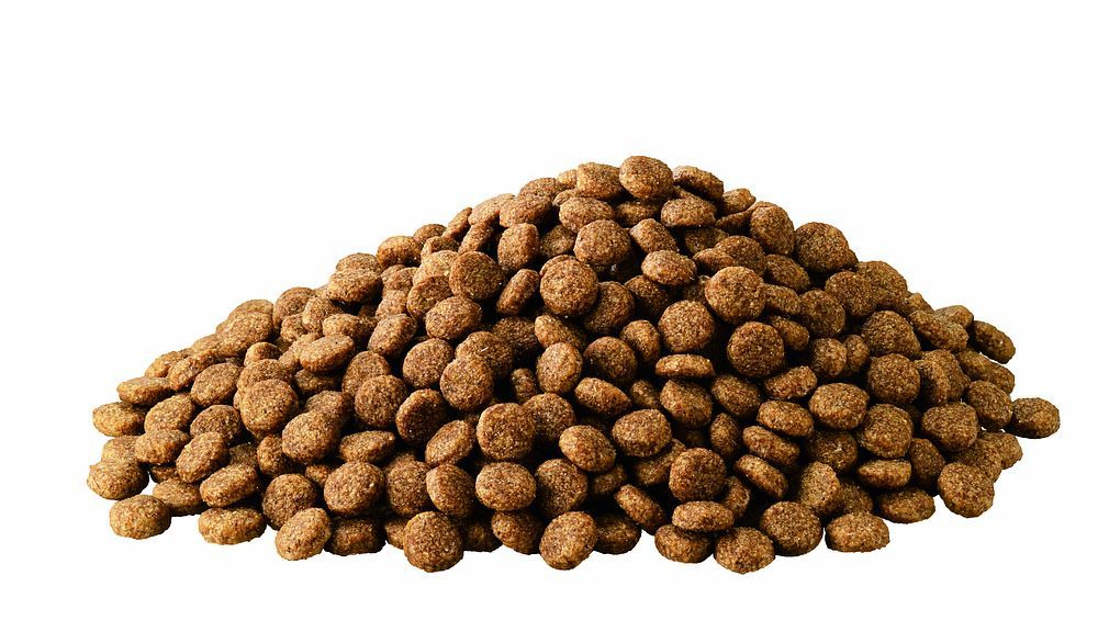 坂本憲一作 山水蒔絵 香合 金梨子地 茶道具 共箱 AW807