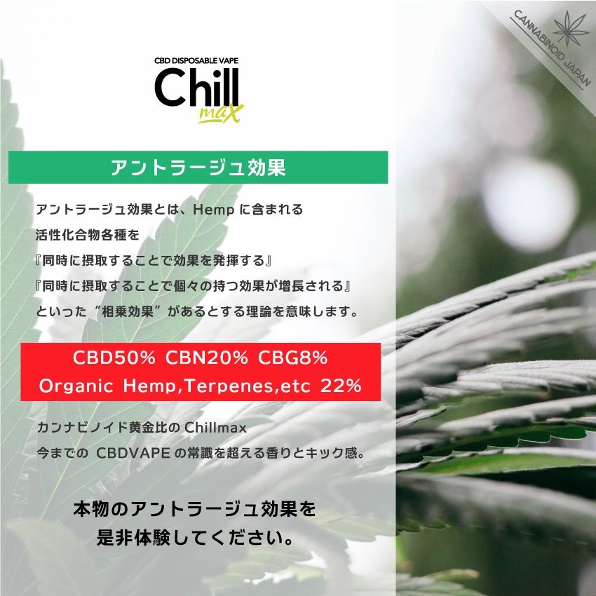 ファッション CBD CBN CBG高濃度ベイプ Chillmax 年末SELL価格