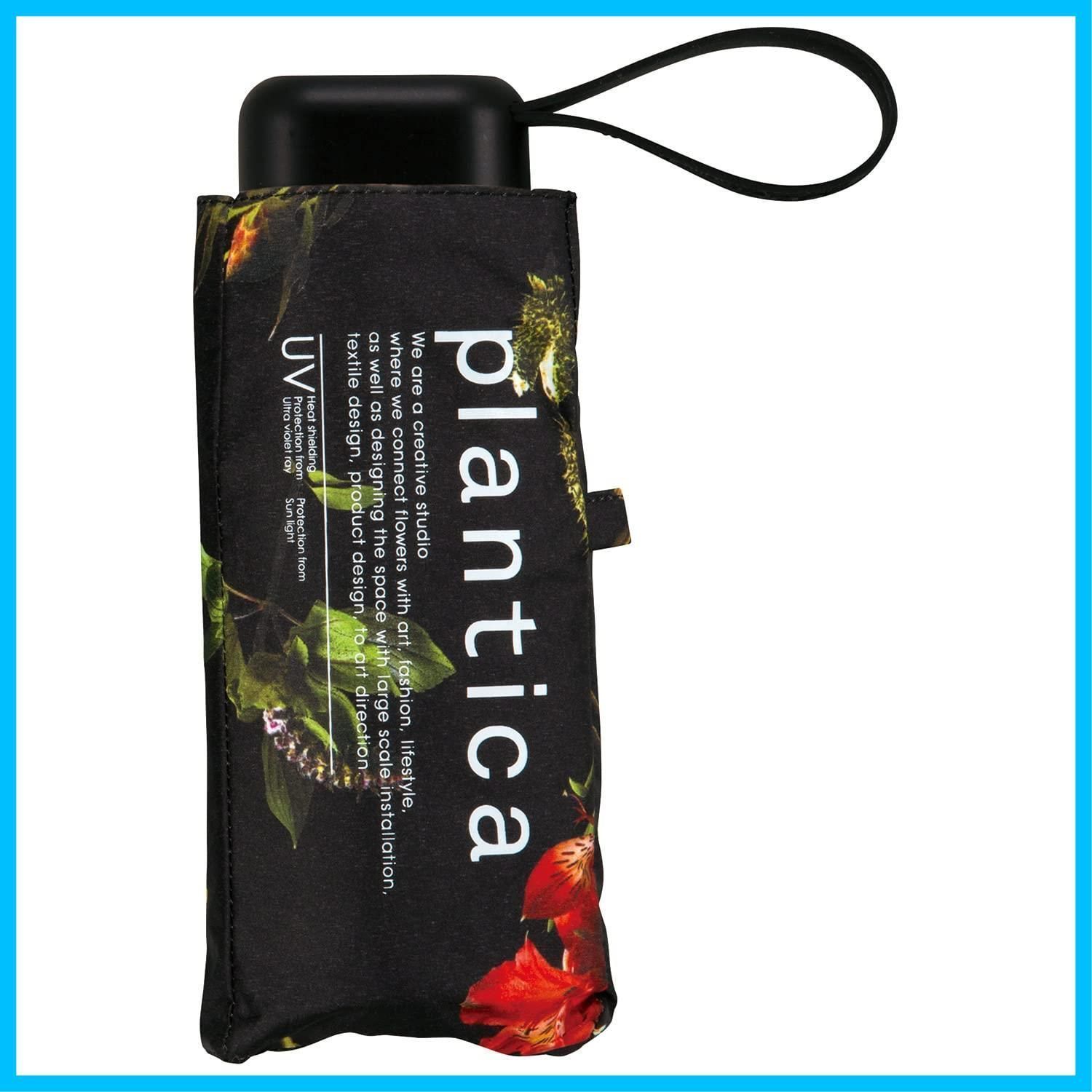 図鑑 26冊 セット はっけんずかん でんしゃ しんかんせん のりもの