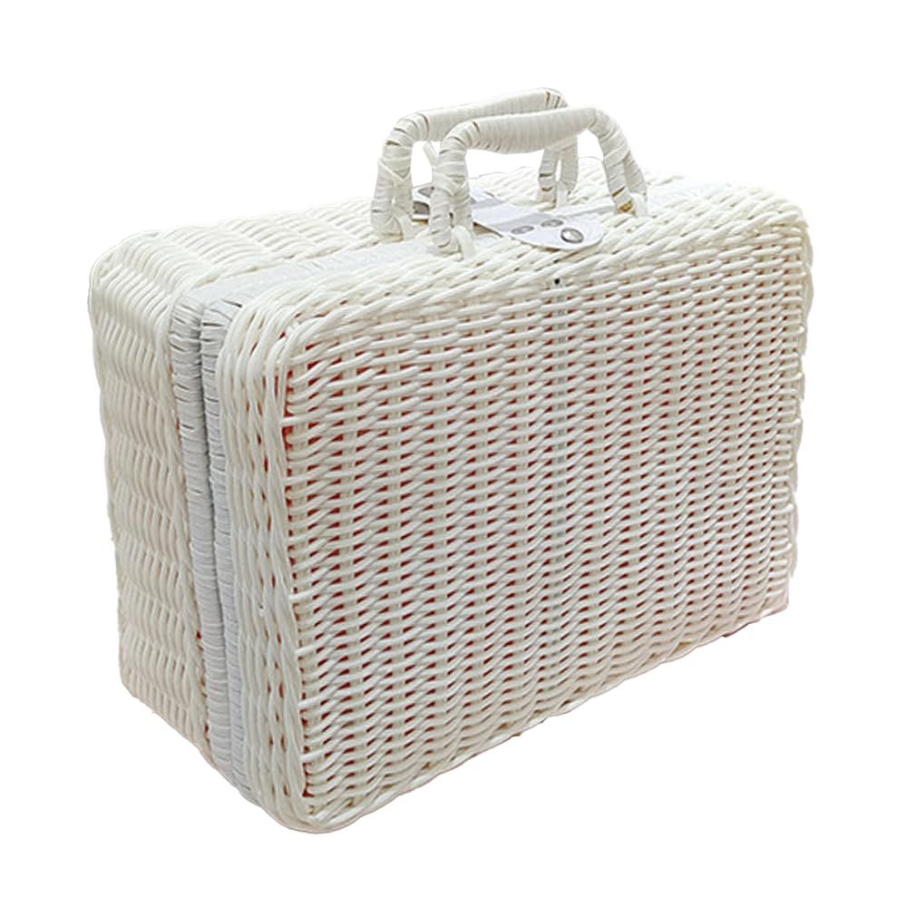 AZNABLE ピクニックバスケット フレンダ トランク かご おしゃれ