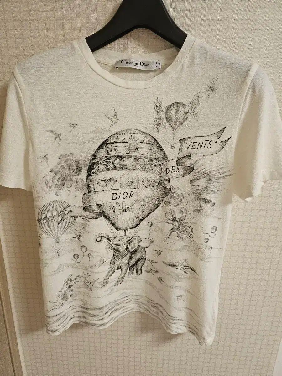 Dior ディオール 21 季節 Tシャツ