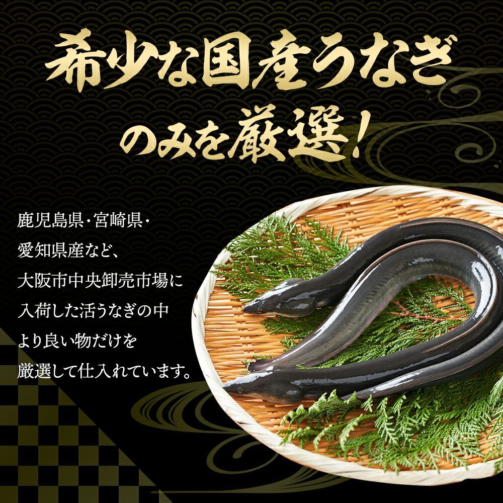 特大国産うなぎ200g×2尾 市場直送 父の日 関西焼き 高評価 国産 特大 うなぎ蒲焼き 関西焼き うなぎ 特大サイズ 鰻 ウナギ 国産うなぎ 国産鰻 国産ウナギ 特大 蒲焼 うなぎ蒲焼 うなぎの蒲焼き かば焼き 蒲焼 お取り寄せグルメ