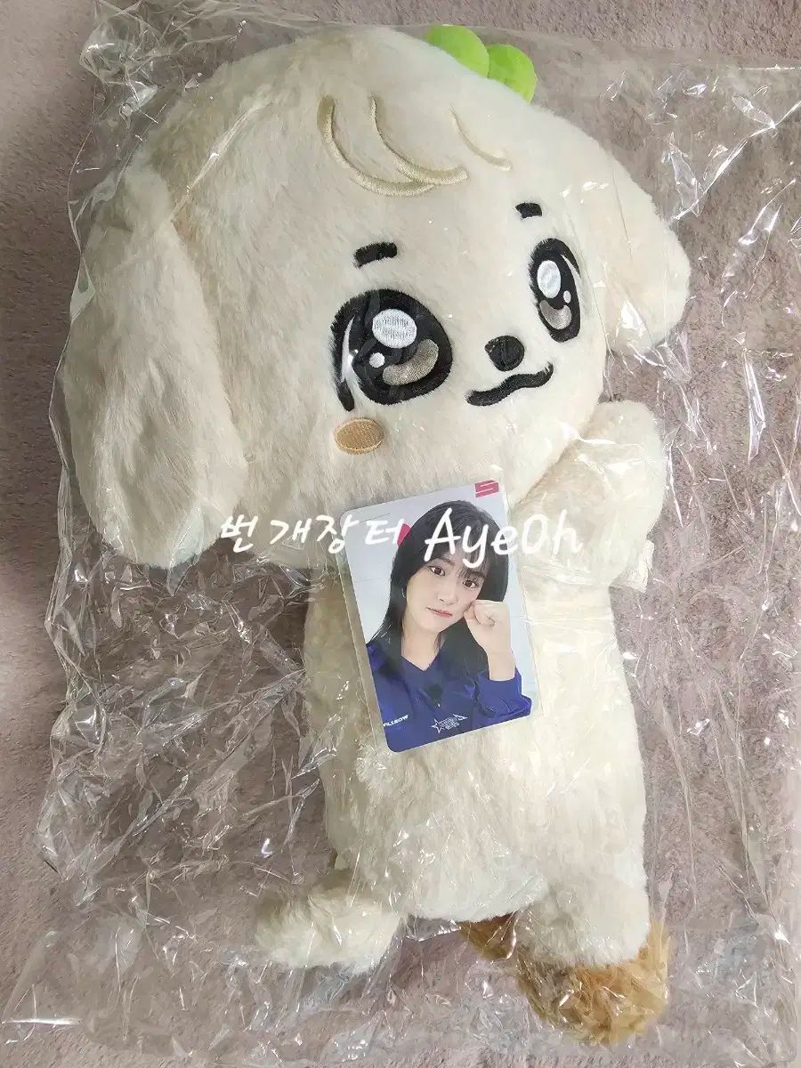 IVE minini フーディケープ　ペンライトカバー　ユジン　カンアンジ　公式 IVE minive フーディケープペンライトカバーユジンカンアンジ公式